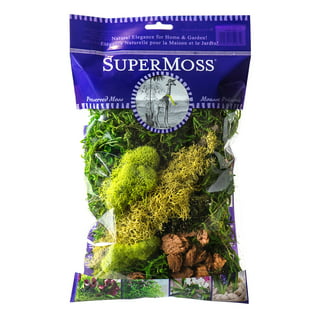 SuperMoss (25322) Forest Moss Preserved, Fresh Green, 8oz