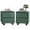 2 drawer set of 2-Green, variant on YOCWO 6 Drawer Dresser for Bedroom, Mid Century Chest of Drawers with Arc Edge and Round Leg, Wood Storage Large Dresser Organizer for Bedroom Living Room Hallway Closet, Walnut