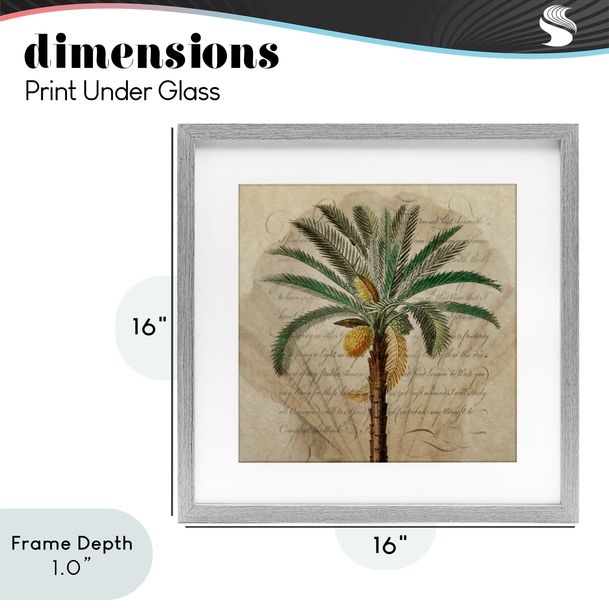 Stupell Industries Vintage Subdued Palm Gray Framed Print Under Glass, design by Steve Hunziker