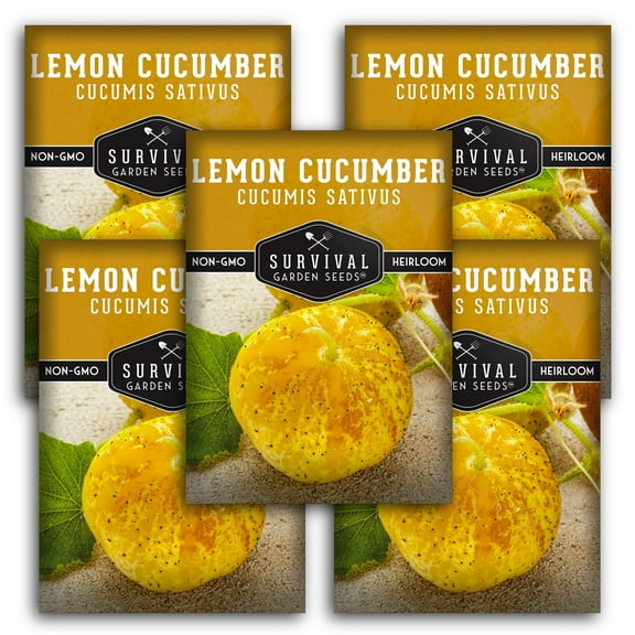 Lemon Cucumber Seeds - 5 Pack - Non-GMO Heirloom Full Sun Annual Vegetable