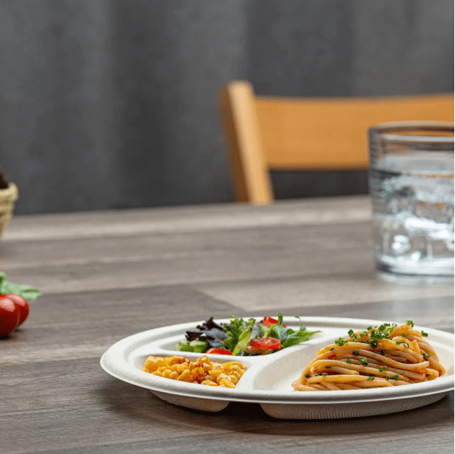 Bosphora Heavy Duty Disposable Paper Plates, 9 Inch, 500 Count, (10 Pack)