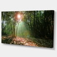 thumbnail image 1 of Designart - Amazing Green Forest at Sunset - Landscape Canvas Art Print, 1 of 2