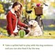 thumbnail image 4 of Pet Toy Ball - Non-toxic, Interactive Feeder for Puppies & Cats, Suitable for Interactive Play, 4 of 4