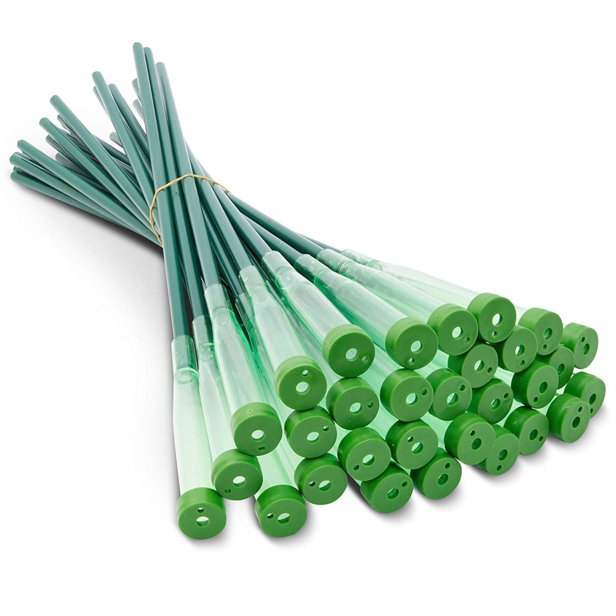 30 Packs Green Water Tubes, Long Leg Floral Picks Vials for Flower