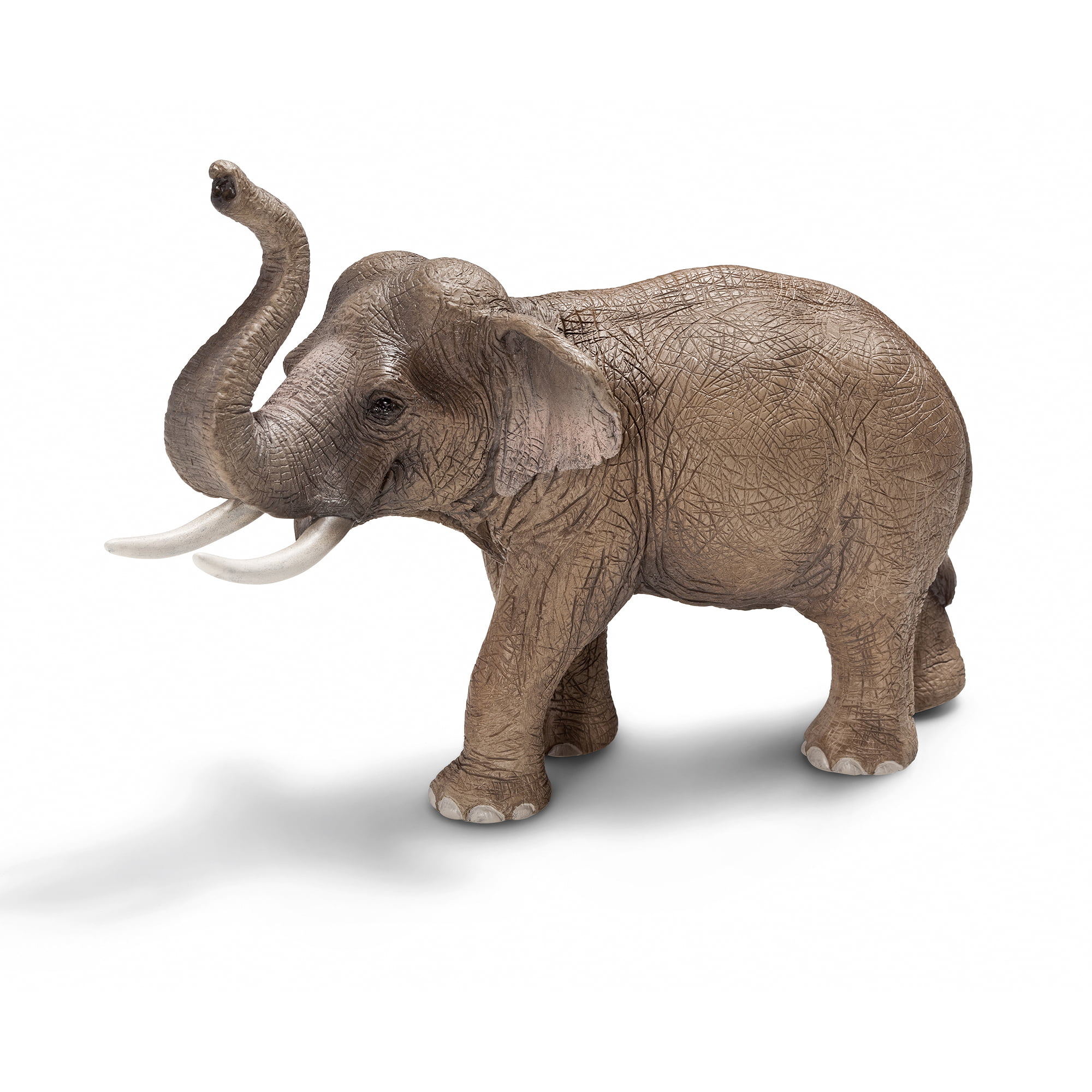 Schleich Asian Elephant Calf Animal Figure NEW IN STOCK 