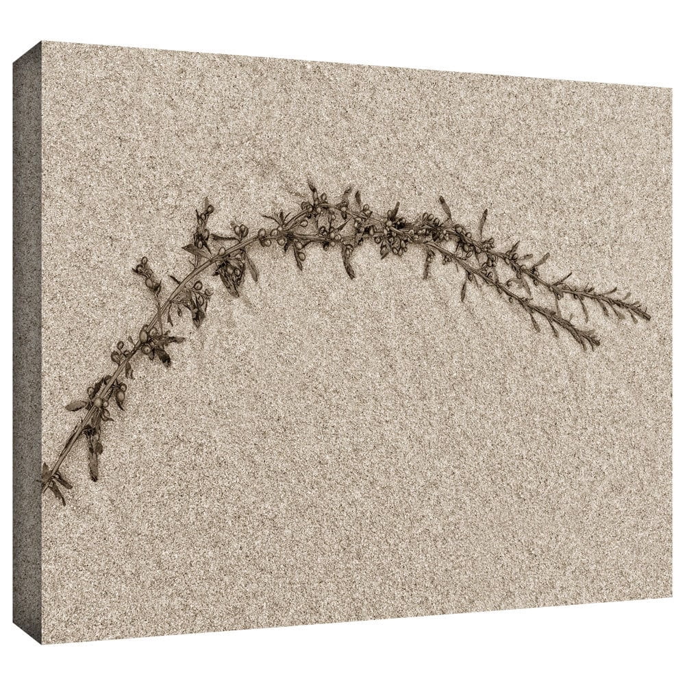 ArtWall Cora Niele "Beach Find II" Gallery-Wrapped Canvas