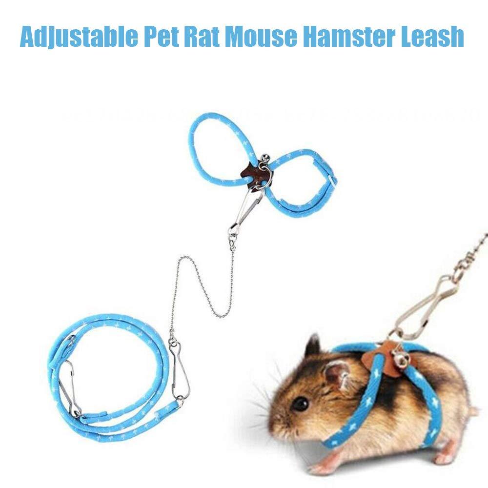 gerbil leash