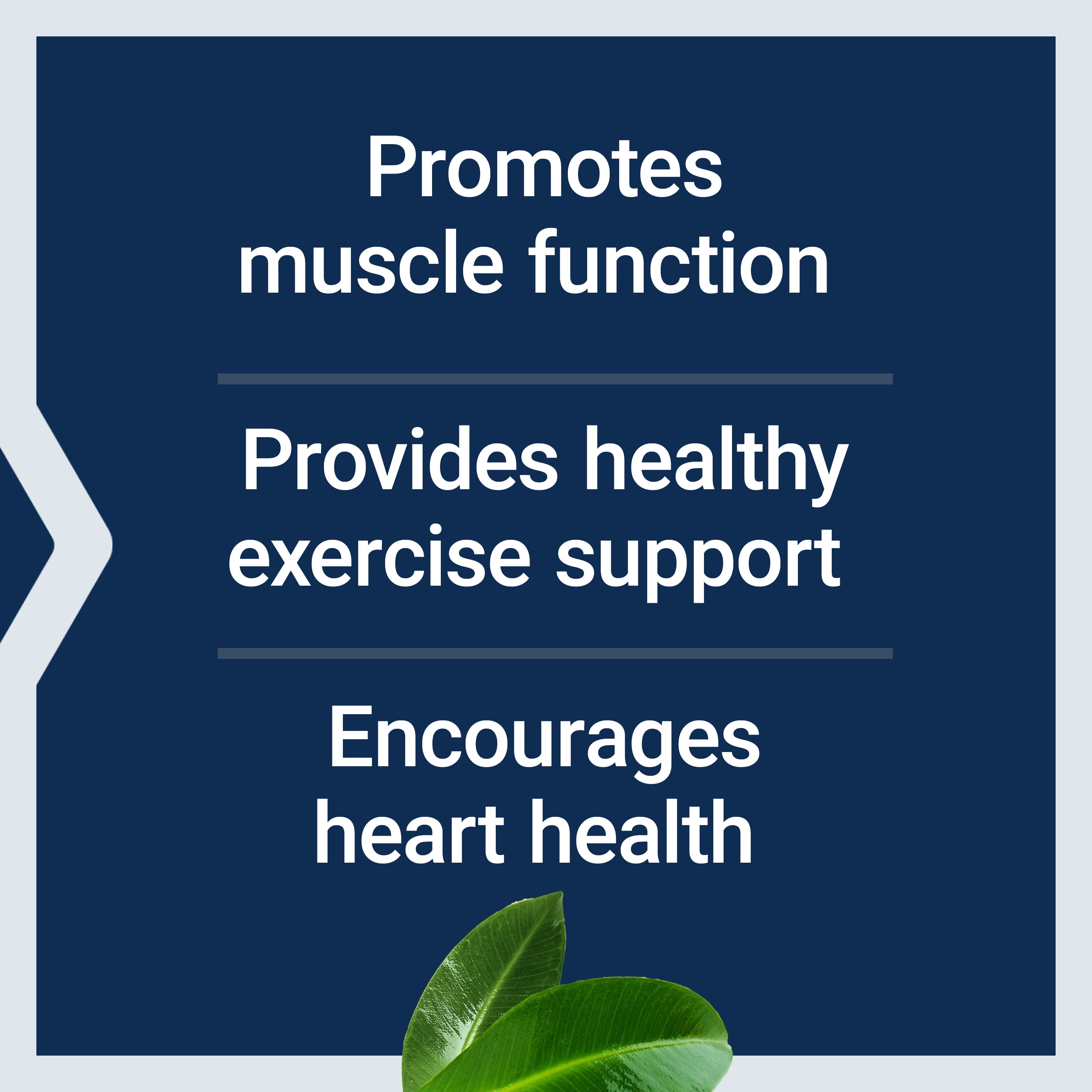 Life Extension Super Carnosine, L-carnosine, luteolin, vitamin B1, muscle support, exercise recovery, heart health, gluten-free, non-GMO, vegetarian, 60 capsules