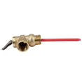thumbnail image 4 of WYA-20 99C 102PSI 210F WYA-20 0.7Mpa to Valve BSP 3/4 Inch Temperature and Pressure Relief Valve As, 4 of 5
