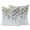 Blue White, variant on Outdoor Pillow Covers 20x20 Set of 2, Floral Eucalyptus Leaves Waterproof Patio Throw Pillow Covers for Couch Sofa Chair, Daisy Summer Botanical Wooden Decorative Pillowcases for Throw Pillows