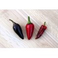 thumbnail image 6 of 25 Seeds BLACK HUNGARIAN PEPPER Capsicum Annuum Mildly Hot Vegetable Seeds, 6 of 8
