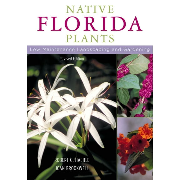 Pre-Owned Native Florida Plants: Low Maintenance Landscaping and Gardening (Paperback) 1589790510 9781589790513
