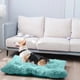 thumbnail image 1 of Xihbxyly Caseta de Invierno para Mascotas, Extraíble y Lavable, Acolchado de Esponja Suave, Base de Tela No Tejida, Acogedora Cama de Interior, Ideal para Perros Pequeños, 50 X 40 Cm., 1 of 4