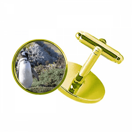 stand southern penguin spheniscidaepicture studded business metal cufflinks en