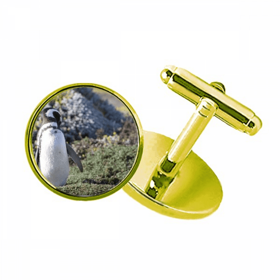 stand southern penguin spheniscidaepicture studded business metal cufflinks en