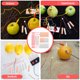 thumbnail image 3 of 1 Juego de Kit de experimentos con batería de frutas, juguete de generación de baterías de frutas, Kit de ciencia energética para niños pequeños, 3 of 6