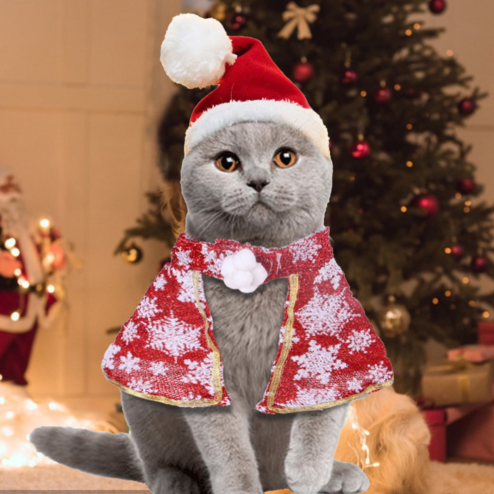 Neinkie 2Pcs/Set Costume de Noël de Chat, Petit Chien Chat Santa