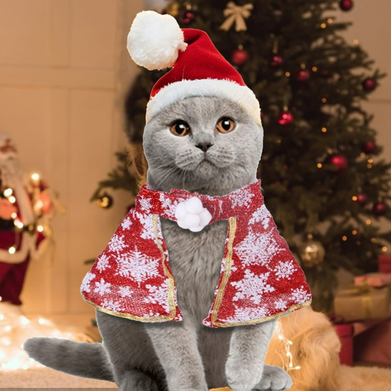 Christmas deals pet costumes