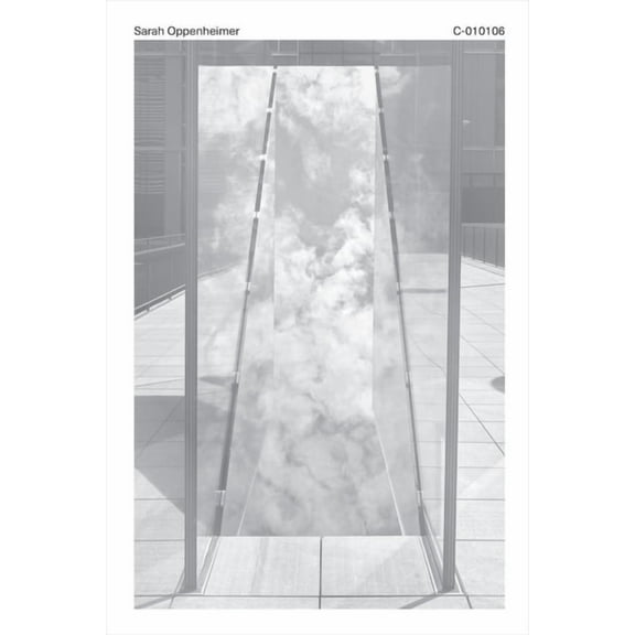 Sarah Oppenheimer : C-010106 (Hardcover)