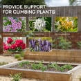 thumbnail image 4 of Outsunny 6-Piece Plant Support Set, Trellis for Climbing Plants, 4 of 10