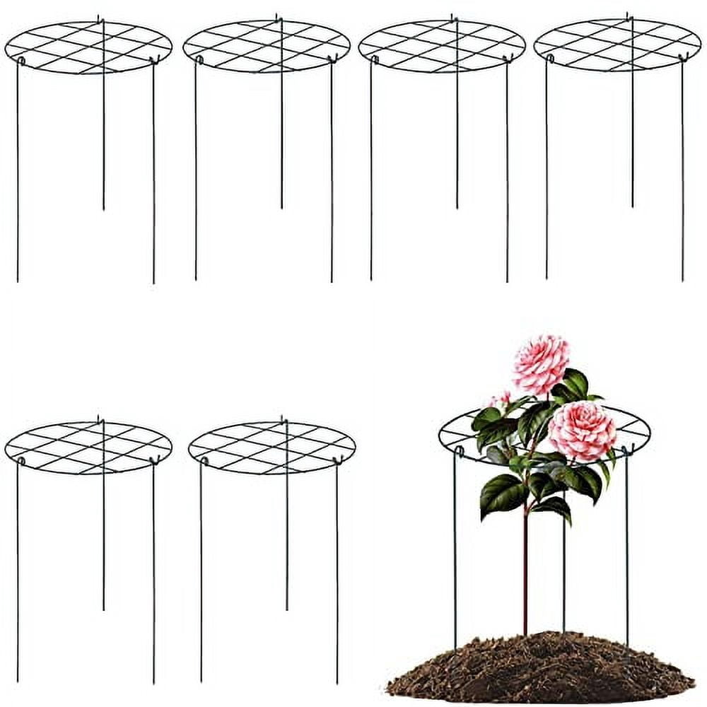 Peony Cages and Supports, Pack of 6 Metal Grow Through Plant Support Stakes Grid Plant Brace Flower Support Rings Hoops with 3 Pcs Legs for Flowers, Peonies, Rose, Lily (16in)