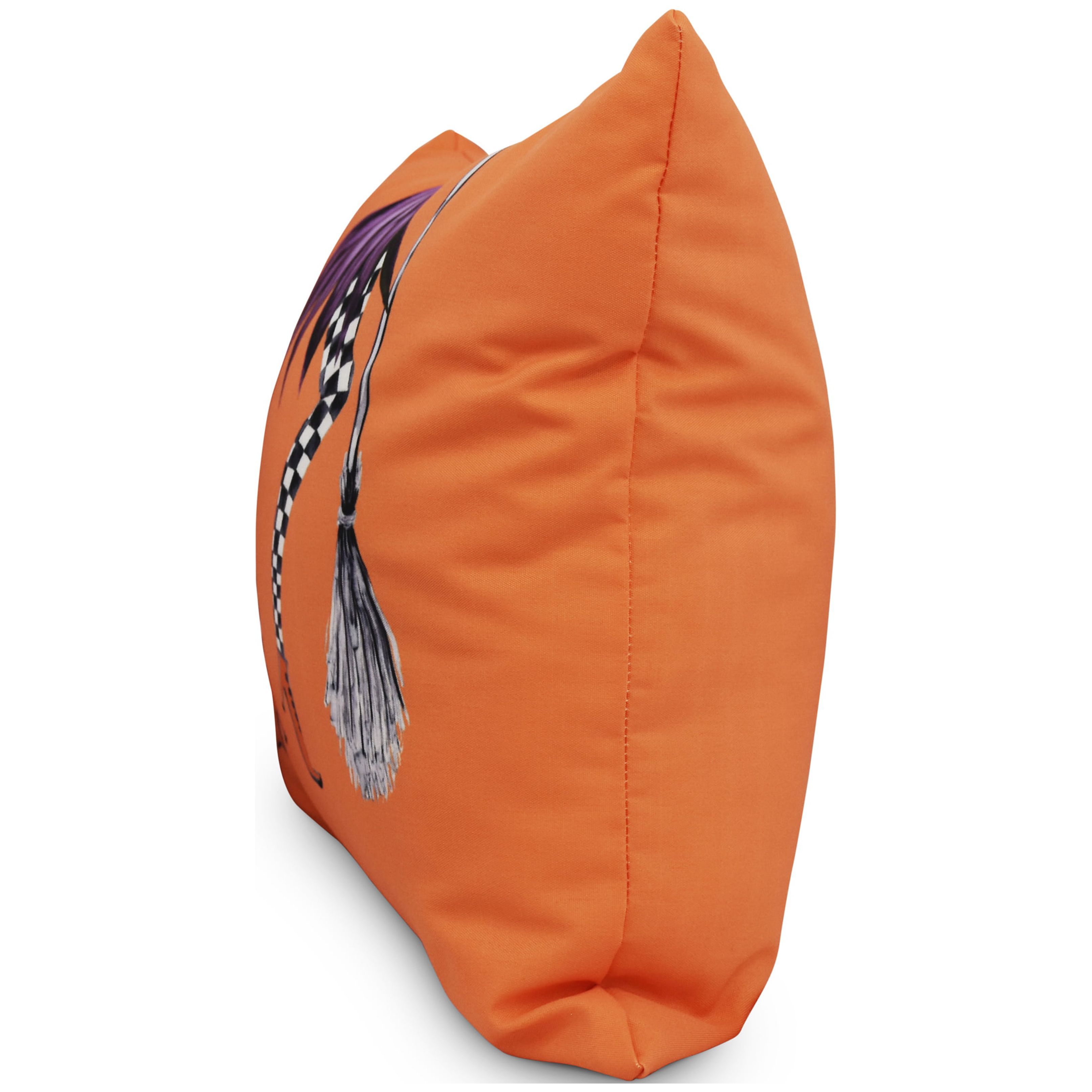 Simply Daisy, 16" x 16"Esmerelda Orange Halloween Print Decorative Throw Pillow