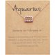 thumbnail image 5 of Qarigey Doce signos del zodiaco símbolo único collar del zodiaco colgante oro rosa Acuario Acuario 2piezas, 5 of 6