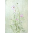 thumbnail image 2 of W., Catherine 18x24 Gold Ornate Wood Framed with Double Matting Museum Art Print Titled - Cosmos, 2 of 4