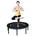 thumbnail image 6 of The Leaps & ReBounds Fitness Trampoline - Bungee Rebounder, 6 of 11