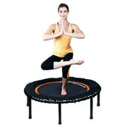 The Leaps & ReBounds Fitness Trampoline - Bungee Rebounder