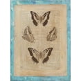 thumbnail image 2 of Vision Studio 19x24 Black Ornate Wood Framed with Double Matting Museum Art Print Titled - Bookplate Butterflies II, 2 of 4