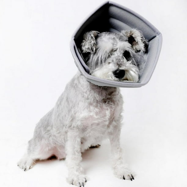 Best Soap Use After Surgery