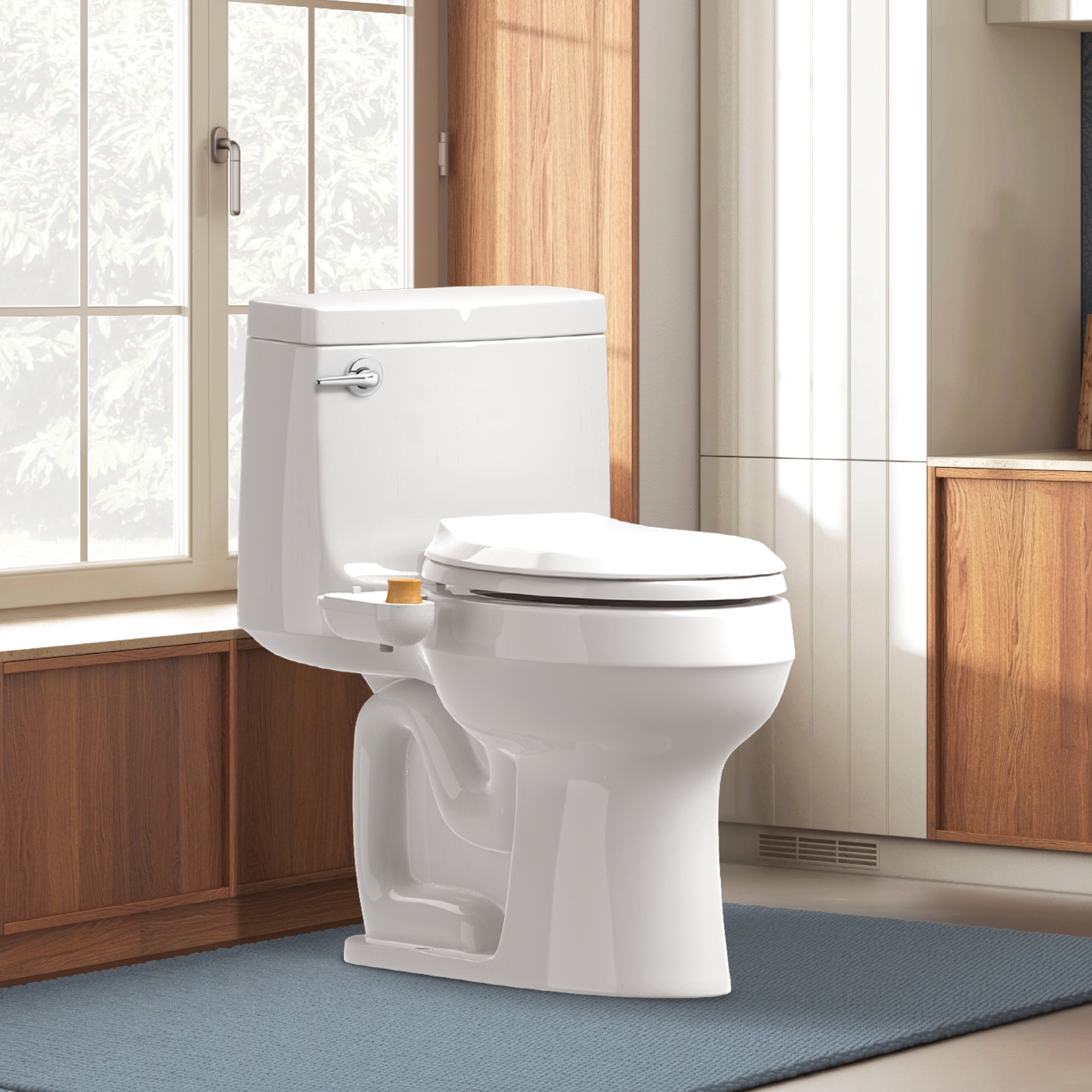 Bidet Attachment