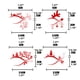 thumbnail image 2 of De Pegatinas De Sombra De Ojos, Forro De Sombra De Ojos De Halloween, Pegatinas De Tatuaje Temporal, Delineador De Ojos Decorativo Para Fiesta, Escenario De Mascarada 4 Pares Scienceny HA038454-00, 2 of 6