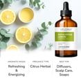 thumbnail image 2 of Eucalyptus Lemon Essential Oil by Velona - 2 oz | Therapeutic Grade for Aromatherapy Diffuser Undiluted, 2 of 5