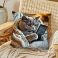 thumbnail image 5 of Cat Print Throw Pillow Cover 18x18 Inch, Colorful Cute Cat Pattern with Hidden Zipper, Soft Polyester Decorative Pillow for Sofa Couch Bed Home Decor, 5 of 5