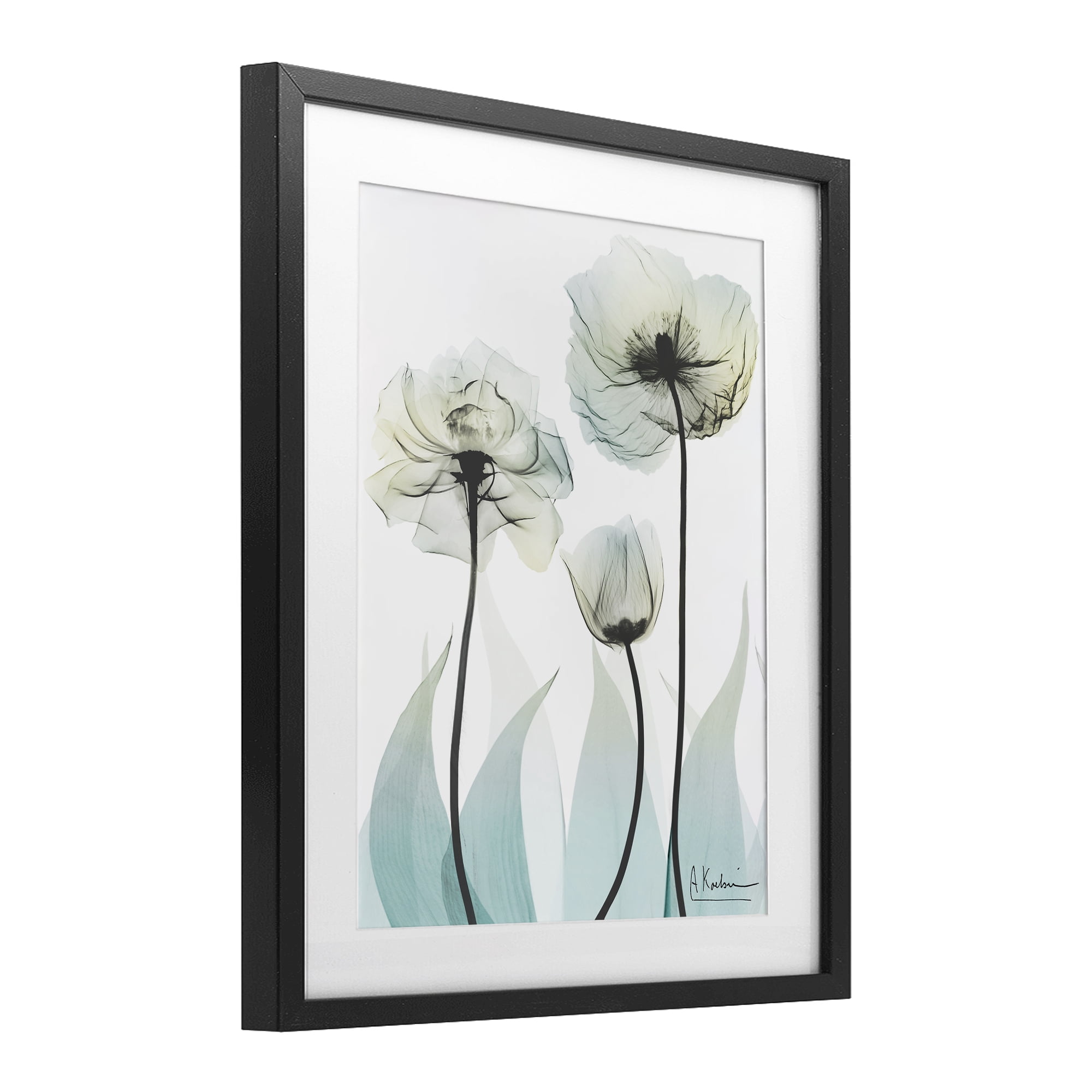 Stupell Industries Luxury Of Creation Black Framed Print Under Glass, design by Albert Koetsier
