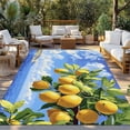 thumbnail image 2 of Yellow Lemon Outdoor Rug 3x5 Ft - Reversible Patio Rug Outdoor Camping Rugs, Summer Blue Sky Ocean Coastal Scenery Washable Indoor Outdoor Area Rugs, Non-Slip Outdoor Carpet Runner for Deck/Porch, 2 of 8