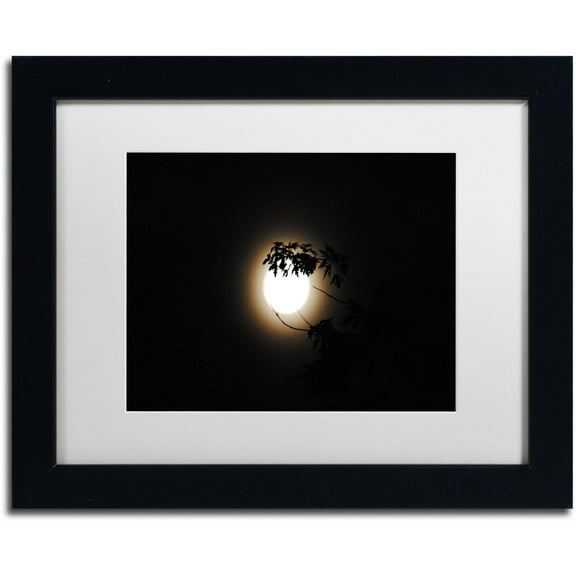 Trademark Fine Art "Howl" Canvas Art by Monica Mize, White Matte, Black Frame