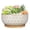 2-White, variant on 8 Inch Succulent Planter Bowl Round Ceramic Pot with Drainage Hole & Bamboo Tray Shallow Flower Pots for Indoor Plants Cactus Blue