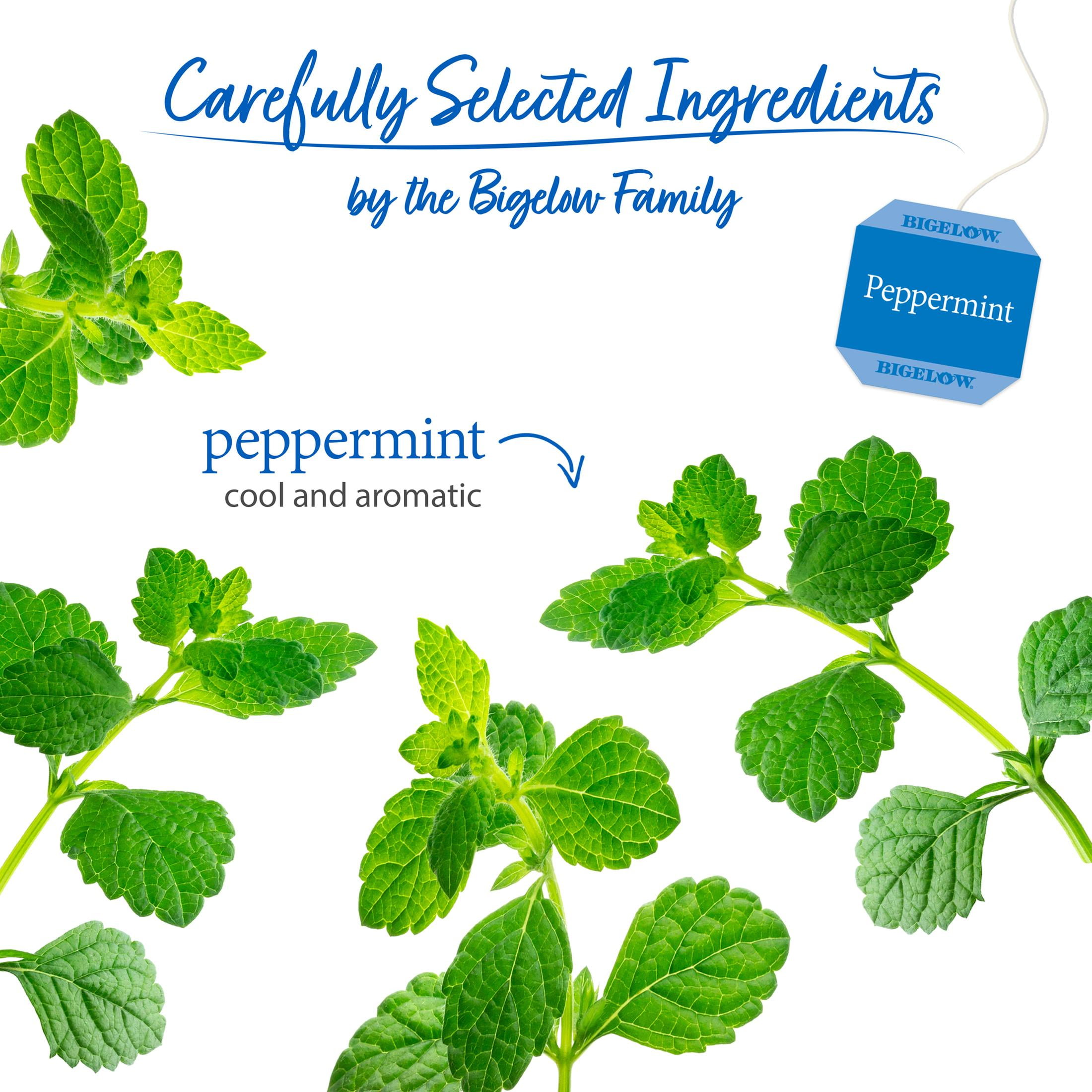 Bigelow Herbal Tea, Peppermint, Tea Bags, 20 Count, 4 Pack