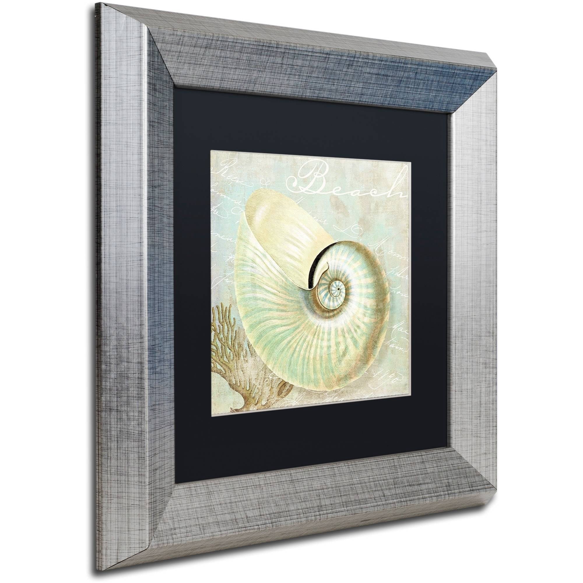 Trademark Fine Art "Turquoise Beach IV" Canvas Art by Color Bakery Black Matte, Silver Frame