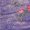 Deep Cobalt, variant on MeMoi Botanic Over The Knee Warm Cotton Blend Socks - Womens - Female