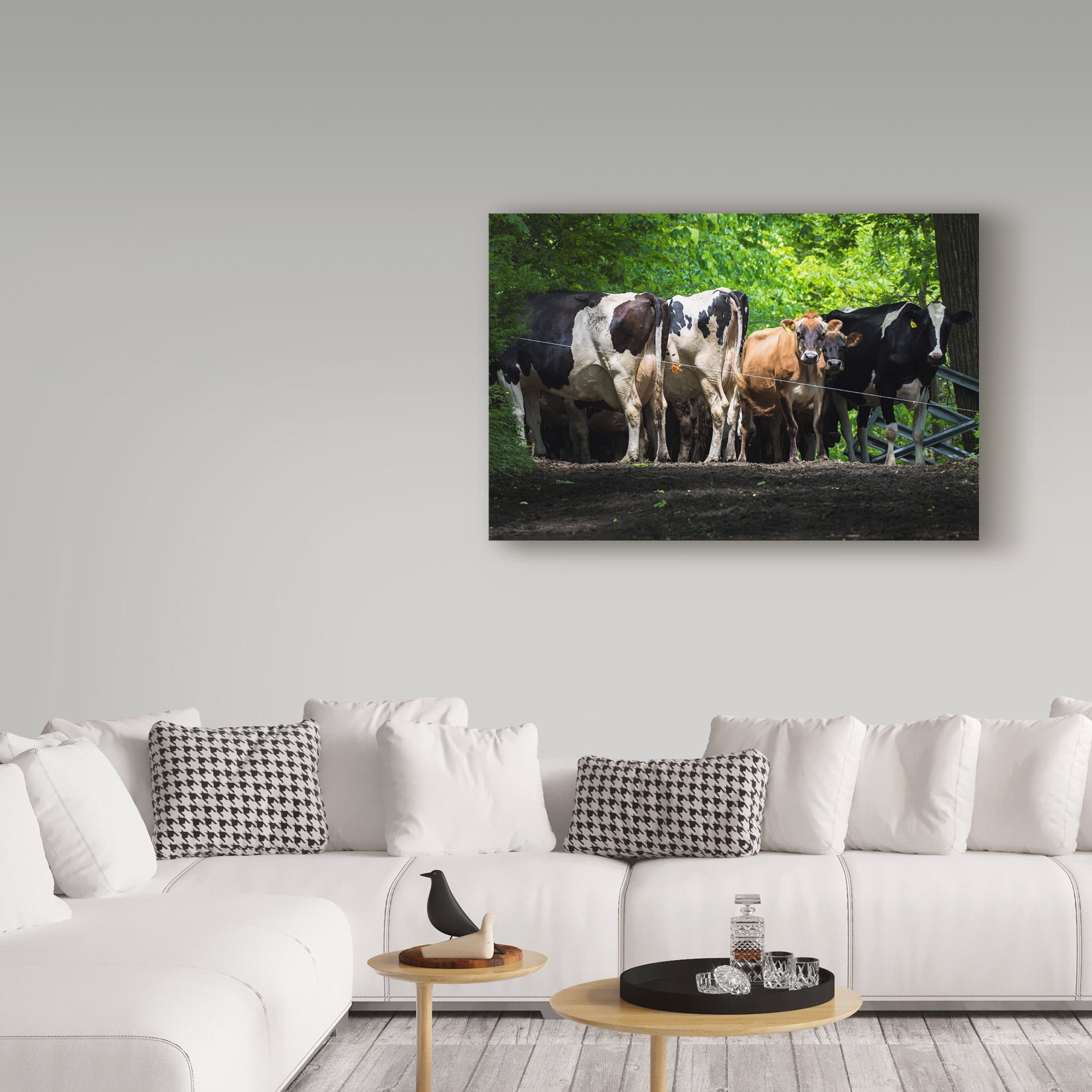 Trademark Fine Art 'Dairy Cows Behind Wire' Canvas Art by Brenda Petrella Photography Llc