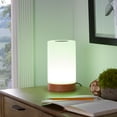 NBG Friendship LED Color Changing Table Lamp with AC Cord, Touch