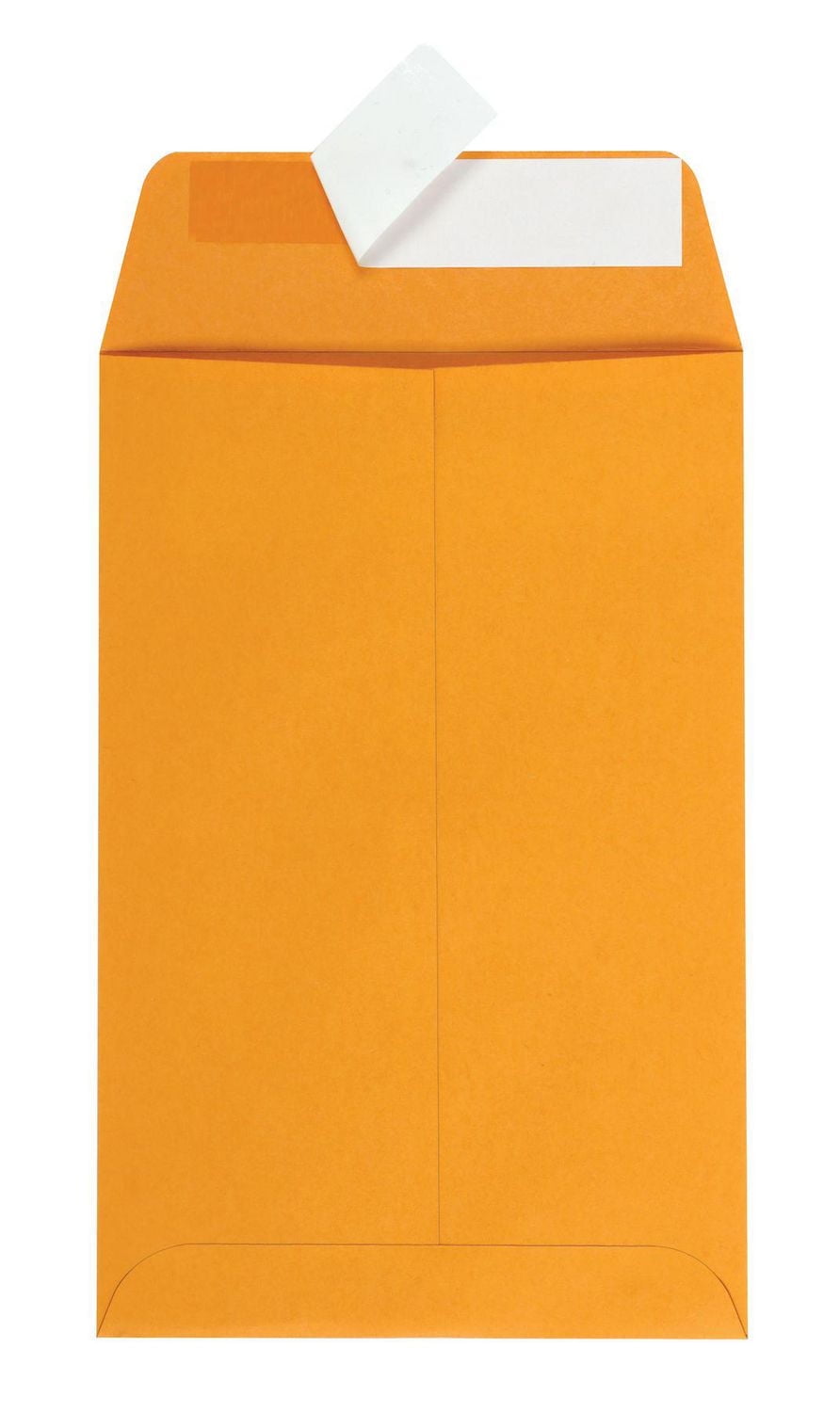 Enveloppe pour catalogue avec fermeture à bande adhésive de 6 x 9 po, papier kraft brun Paq. de 30