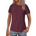 thumbnail image 4 of TAGOLD Womens Plus Size Tops,Summer Short Sleeve Blouse Tops for Womens,Ladies' Casual Loose Solid Color Round Neck Lace Patchwork Short Sleeved Top With Pleats On The Chest, 4 of 5