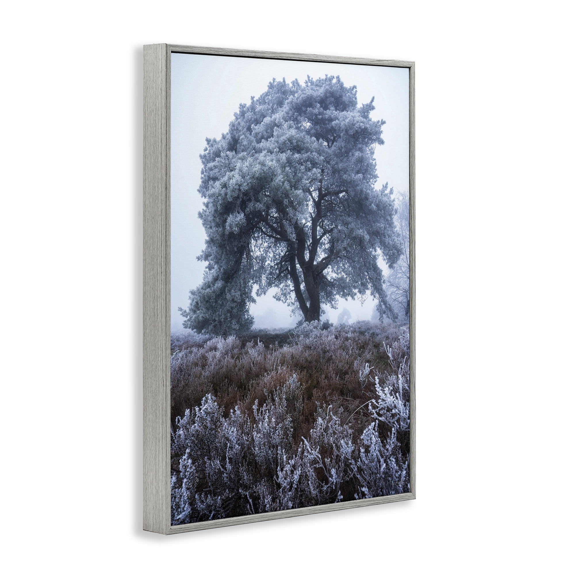 Stupell Industries Frosted Tree in Winter Mist Gray Framed Giclee Art, design by Martin Podt