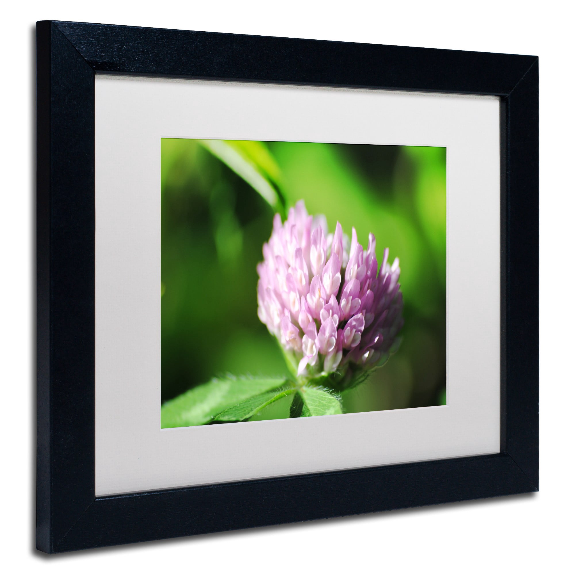 Trademark Fine Art "Vindictive Lust" Canvas Art by Monica Mize, White Matte, Black Frame