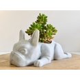 thumbnail image 6 of Doggy Planter French Bulldog Planter Gift Idea, Bar Decor, Table Decor, Plant Gift Idea, Cute Succulent Planter, any canine/dog/French bulldog and plant lover! Twinkling Black, 6 of 8